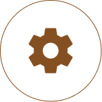 Customization & Development