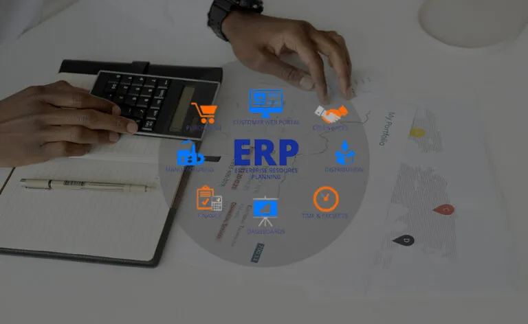 imgi 20 customized erp solutions 768x472 1